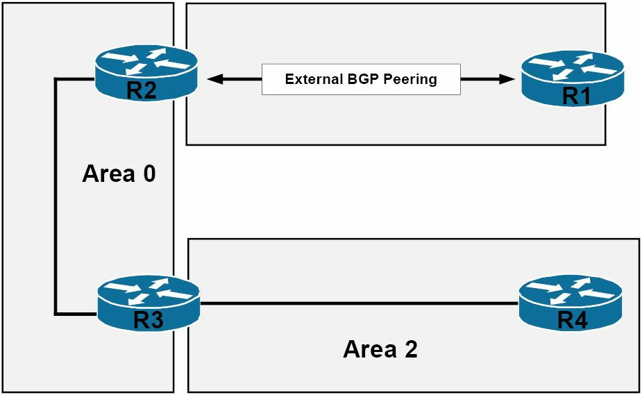 额外的 OSPF 路由器类型